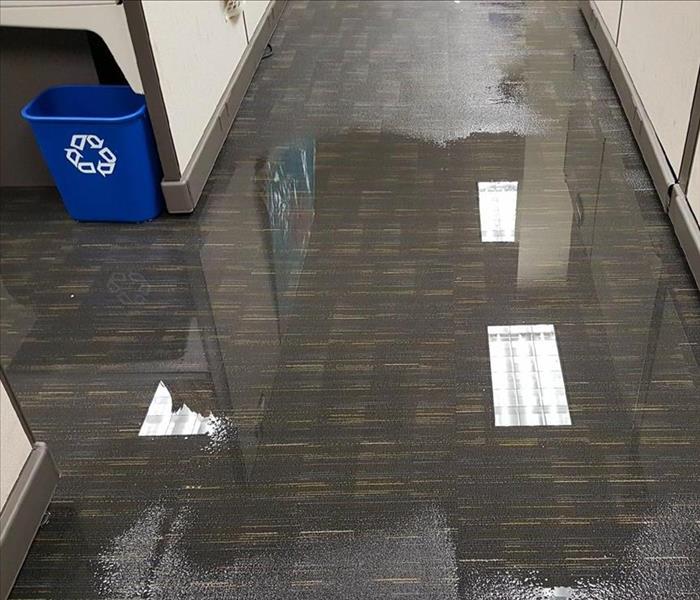 Water on the floor of a Franklin office building