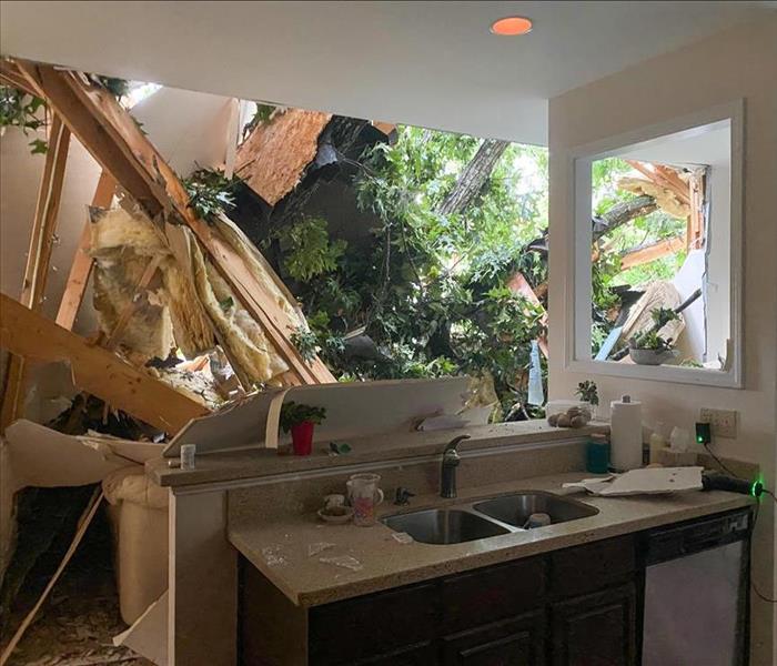 Tree branch collapsed a roof of a home in Williamson County, TN