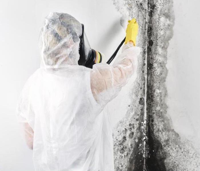 Man in hazmat suit removing mold from the wall