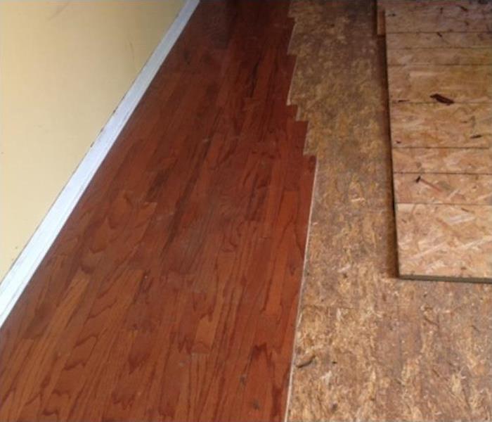wooden floor removed, under wooden floor mold has been found