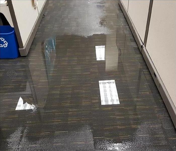 Standing water on carpet floor, water damage in commercial building
