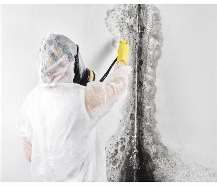 A professional disinfector in overalls processes the walls from mold. Removal of black fungus in the apartment and house.