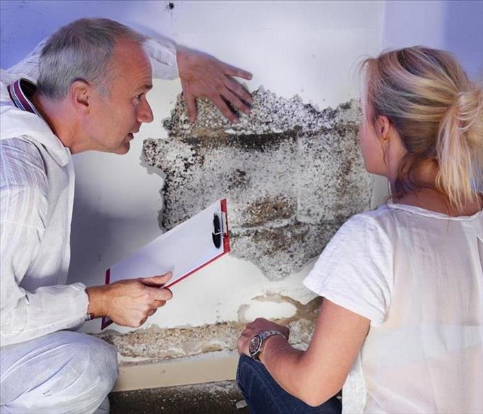 Mold hygienist with blonde female with mold destroyed wall explaining the problem 