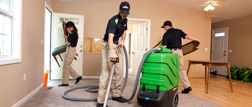 Franklin, TN cleaning services